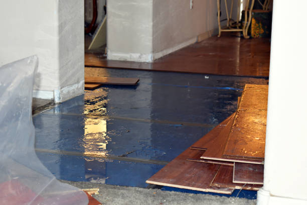 Professional Flood Damage Restoration technician working in Louise, TX